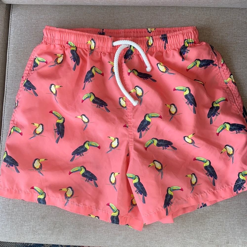 Zara Mens Swim Trunks